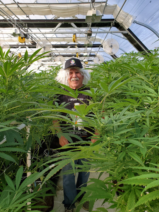 Dakine 420 nutrients are outstanding