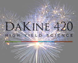 DaKine 420