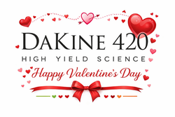 DaKine 420