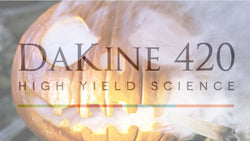 DaKine 420