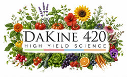 DaKine 420